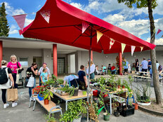 Pflanzenmarkt (Foto: Brigitte Nastansky)